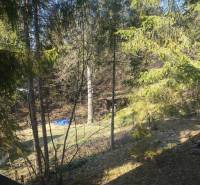 Die bewaldete Umgebung rund um die Hütte in Oščadnica, mit Bäumen und einer Grasfläche.