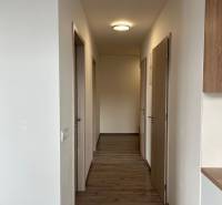 Der Flur in einer 3-Zimmer-Wohnung mit einem Holzboden und mehreren Türen.