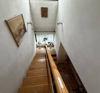 Eine Treppe in einem Einfamilienhaus mit einem Bild an der Wand und einer Pflanze am Fenster.