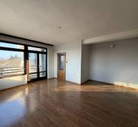 Ein Zimmer in einem Einfamilienhaus mit einem Boden in Holzoptik, einem großen Fenster und einer Tür.