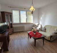 Wohnzimmer in einer 2-Zimmer-Wohnung mit Holzboden, bequemen Möbeln und einem dekorativen Tisch.