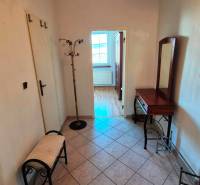 Flur in einer 2-Zimmer-Wohnung mit Fliesen, Spiegel und Farn.