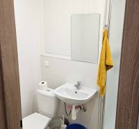 Badezimmer in einem Studio-Apartment mit Waschbecken, Toilette, Dusche und Spiegel, neutrale Farben.