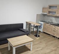 Einzimmerwohnung mit Küchenzeile, Sofa und Boden in Holzoptik.