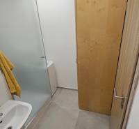 Badezimmer in einem Studio-Apartment mit Waschbecken, Duschkabine und Schrank auf hellem Fliesenboden.