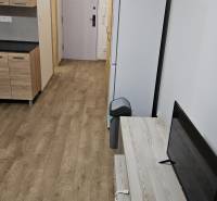 Einzimmerwohnung mit Holzboden, Küchenzeile, Kühlschrank und Fernseher.