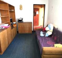 Ein Einfamilienhaus mit Teppich, Sofa und Regalen. Ein Teddybär auf dem Sofa.