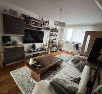 Wohnzimmer einer 3-Zimmer-Wohnung mit Holzboden, bequemer Couch und Dekorationen.