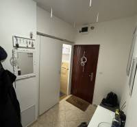 Diele einer 3-Zimmer-Wohnung mit Kleiderhaken, Spiegel und Eingangstür.