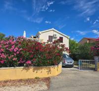 Blumengarten vor dem Haus in der Straße Mulo in der Stadt Vrsi, Besondere Immobilien.
