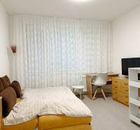 Ein Studio-Apartment mit Bett, Schreibtisch, Fernseher und Vorhängen am Fenster.