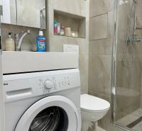 Badezimmer in einem Studio-Apartment ausgestattet mit Waschmaschine, Duschkabine, Toilette und Stauraum.