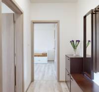 Der Flur in der 2-Zimmer-Wohnung mit einem Boden in Holzoptik und dunklen Möbeln.