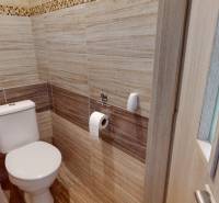 Badezimmer mit Wänden in Holzdekor in einer 2-Zimmer-Wohnung.