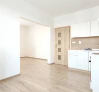 Küche in einer 2-Zimmer-Wohnung mit einer Küchenzeile und einem Boden in Holzoptik.