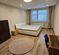 Helles Zimmer in einer 2-Zimmer-Wohnung mit Bett und Möbeln, Boden mit Holzdekor.