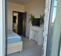 Schlafzimmer mit Bett, Fernseher und Pflanzen in einer 3-Zimmer-Wohnung mit Holzboden.