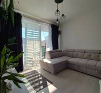 Wohnzimmer in einer 3-Zimmer-Wohnung mit Holzboden, großem Sofa und Pflanzen.