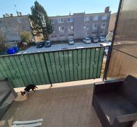 Ein Balkon mit Blick auf den Parkplatz, Rattansitzmöbel und ein Hund, Blatná na Ostrove.