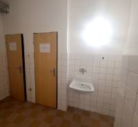 Büros mit Wandverkleidungen, zwei Türen und ein Waschbecken.