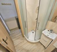 Badezimmer in einem Studio-Apartment mit Kassetten-Dusche und Holzboden-Dekor.