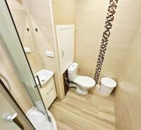 Kompaktes Badezimmer in einem Studio-Apartment mit Toilette, Duschkabine und Boden in Holzoptik.