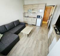 Einzimmerwohnung mit Sofa, Küchenzeile und Holzboden.