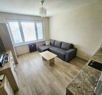 Einzimmerwohnung mit Holzboden, Sofa und TV-Bereich.