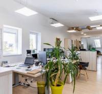 Beleuchtete Büros mit Computern, Pflanzen und einem Boden in Holzoptik.