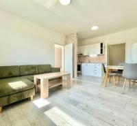 Helles Wohnzimmer einer 2-Zimmer-Wohnung in der Východná-Straße mit bequemen Möbeln und Küche.