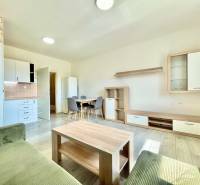 Innenraum einer 2-Zimmer-Wohnung; Ausstattung in der Východná-Straße; Küche, Esstisch, Wohnzimmer.