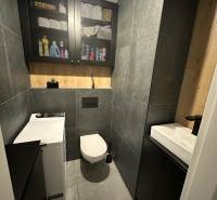 Badezimmer mit Toilette in einer 2-Zimmer-Wohnung, Fliesen, Schrank, Waschmaschine und Stauraum.