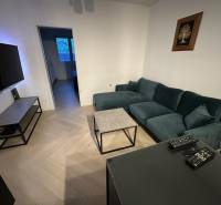 Wohnzimmer in einer Zweizimmerwohnung mit Holzboden und bequemer Couch.