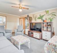 Wohnzimmer in einer 4-Zimmer-Wohnung mit bequemen Sitzgelegenheiten, Zimmerpflanzen und Teppich.