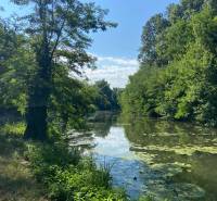 Ein ruhiger Wasserlauf umgeben von üppiger Vegetation und Spiegelungen des Himmels in Nová Dedinka.