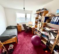 Ein Zimmer in einem Einfamilienhaus mit einem Tisch, einem Bett, Regalen und einem roten Teppich.