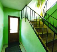 Innenraum eines Einfamilienhauses mit Holztreppe, grünen Wänden und einer Pflanze.