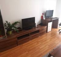 Ein Zimmer einer 2-Zimmer-Wohnung mit einem Fernseher, einem Tisch, einem Boden mit Holzdekor und einer Pflanze.