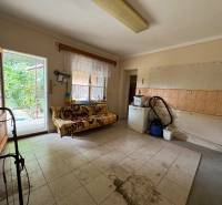 Innenraum eines Einfamilienhauses mit Sofa und direktem Zugang zum Garten.