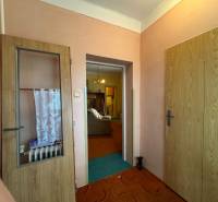 Ein Flur in einem Einfamilienhaus mit Glastüren und sichtbaren Heizkörpern.