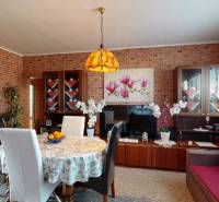 Esszimmer in einer 4-Zimmer-Wohnung mit Ziegelverkleidung, Esstisch und Zimmerpflanzen.