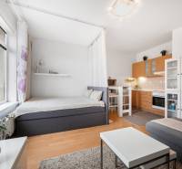 Helle 1-Zimmer-Wohnung mit Kochnische, Bett und Sofa, Boden mit Holzdekor.