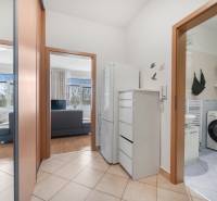 Im Inneren der 1-Zimmer-Wohnung sind der Flur, das Badezimmer und der Wohnbereich sichtbar.