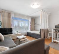 Wohnbereich einer Einzimmerwohnung mit Sofa, Fernseher, Esstisch und Bett.