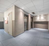 Eingangshalle mit Aufzügen, blauer Boden, beleuchtete Decken.