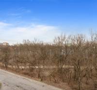 Blick von der Antolska-Straße in Bratislava, Petržalka auf den Wald und Plattenbauten, 1-Zimmer-Wohnung.