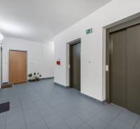 Eingangsflur mit Aufzügen und Türen in einer Einzimmerwohnung, Boden mit Fliesen.