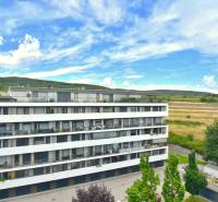 Containerhaus in Bratislava - Rača in der Straße Pri vinohradoch mit Blick auf die Weinberge.