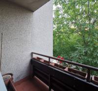Ein Balkon in einer 4-Zimmer-Wohnung, umgeben von Grün mit Blumenkästen am Geländer.