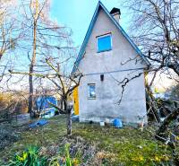 Das Haus in der Palmová-Straße in Košice - Stadtteil Sever, umgeben von Garten und Bäumen.